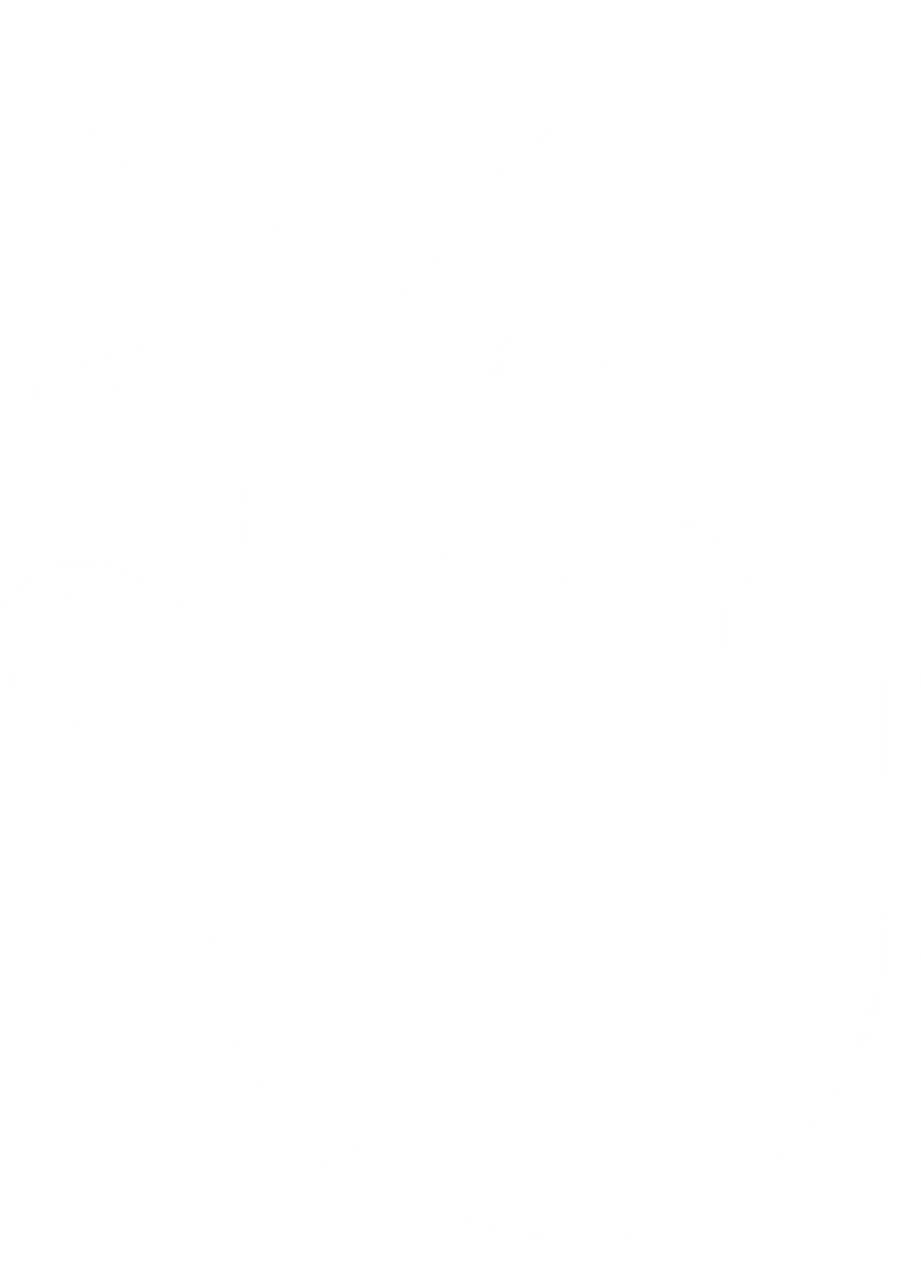hand-button