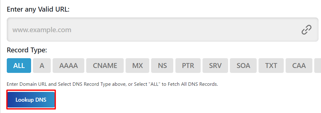 Lookup DNS