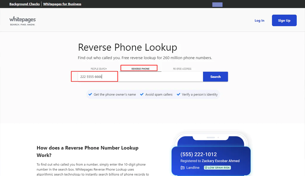 Using WhitePages for Email Discovery