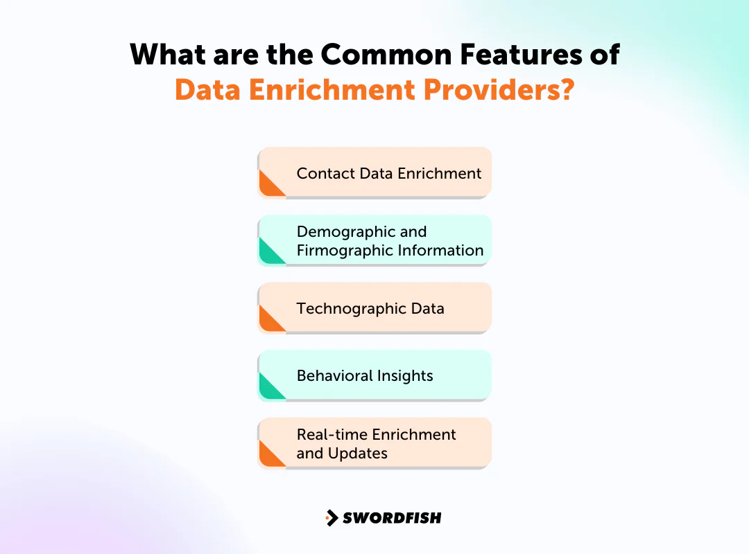 What are the Common Features of Data Enrichment Providers