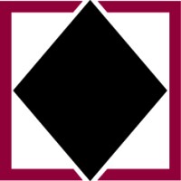 Black Diamond Group-company