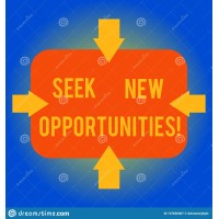 (Seeking New Opportunities)-company