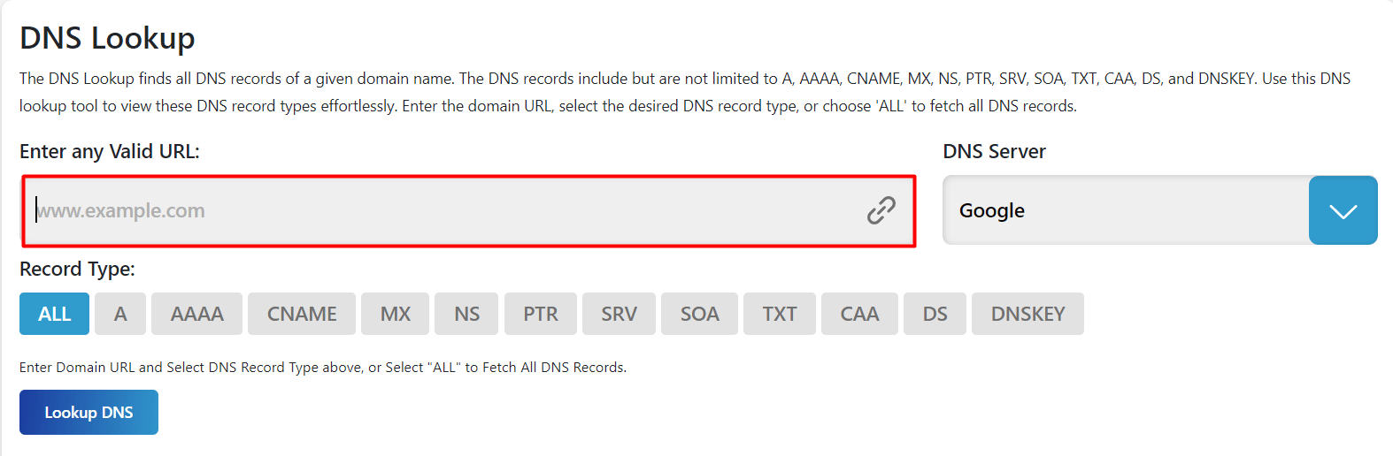 Type in the domain name