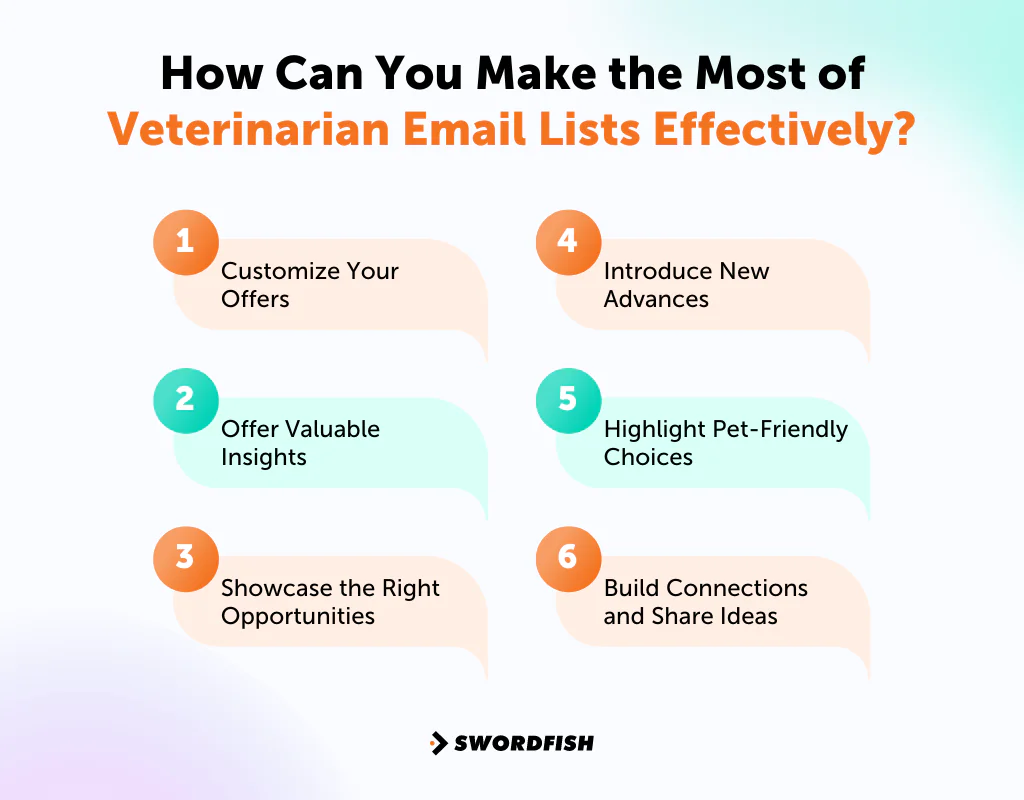 How Can You Make the Most of Veterinarian Email Lists Effectively
