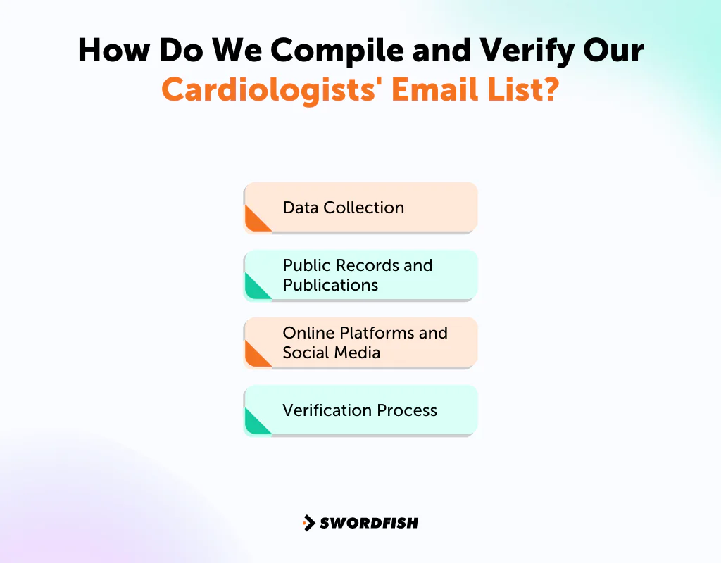 How Do We Compile and Verify Our Cardiologists' Email List