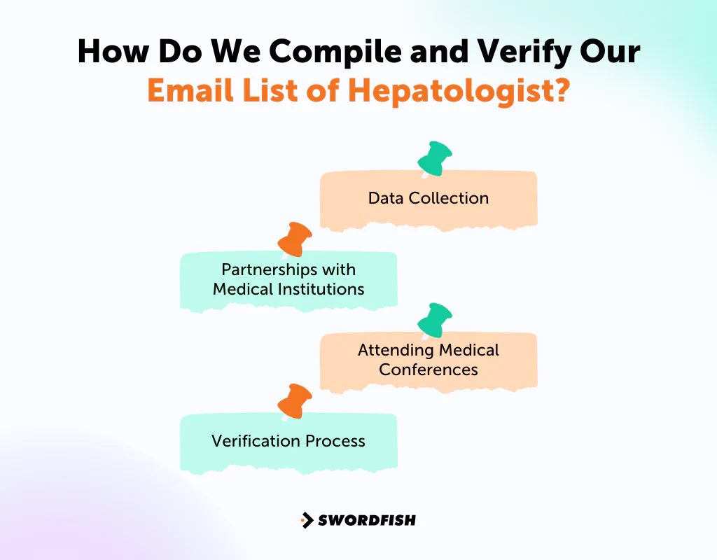 How Do We Compile and Verify Our Email List of Hepatologist
