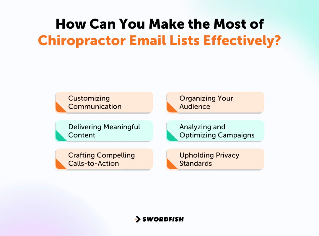 How Can You Make the Most of Chiropractor Email Lists Effectively